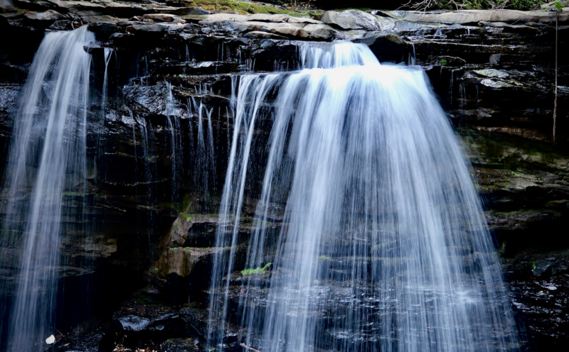 'It takes a community to preserve our special places'